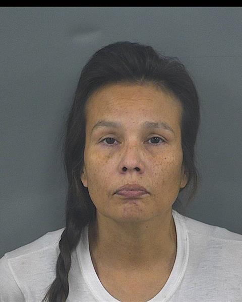 Booking photo — Sonya N Taylor